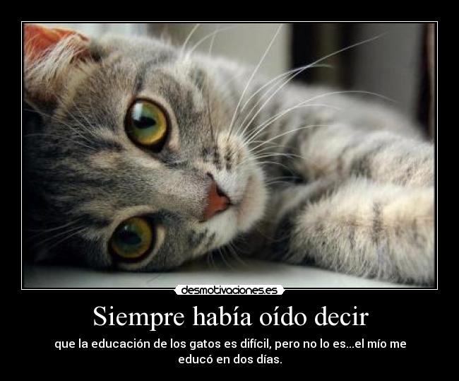 Siempre había oído decir -