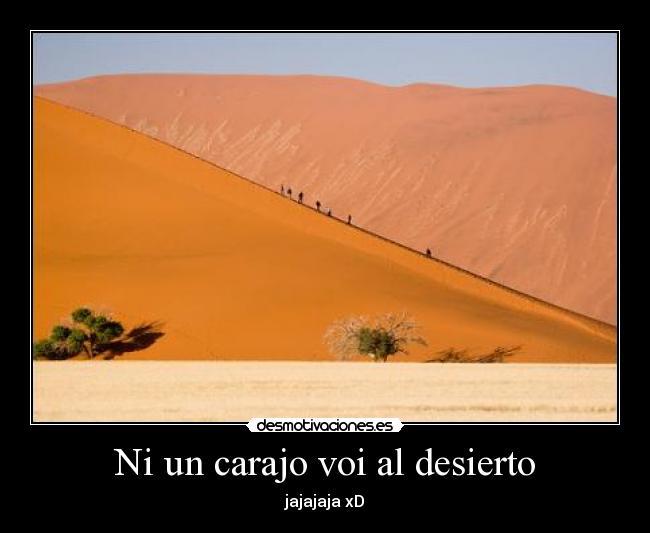 carteles desierto desmotivaciones