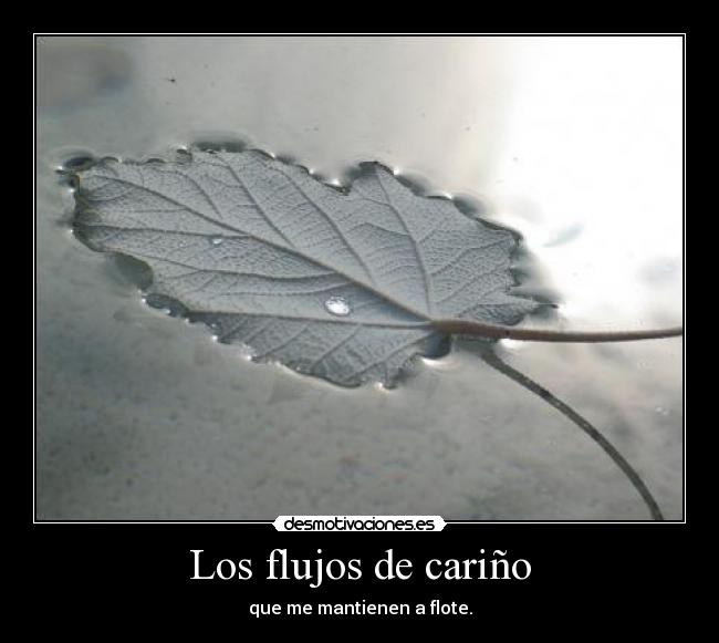 Los flujos de cariño - que me mantienen a flote.