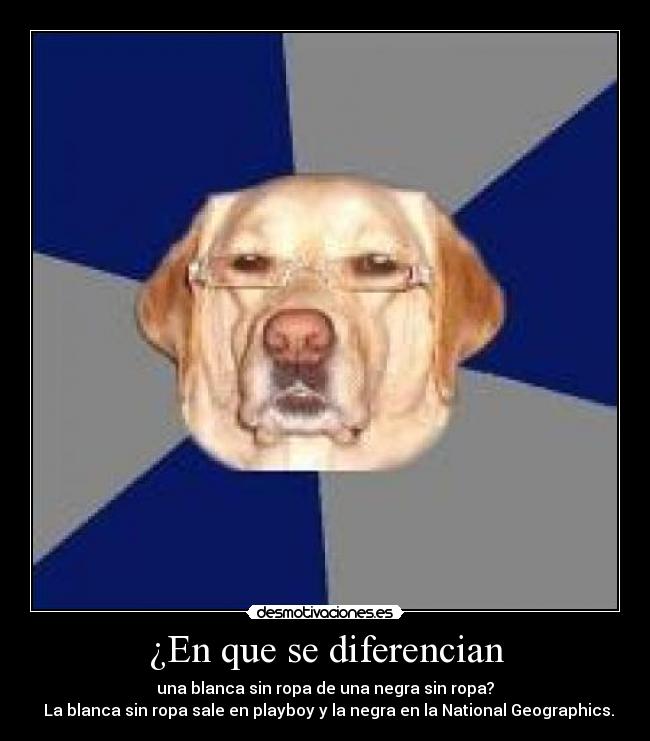 ¿En que se diferencian -