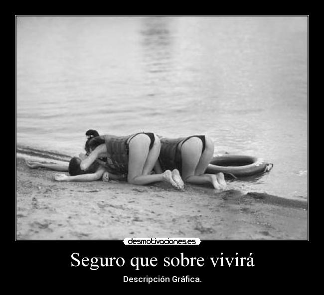 Seguro que sobre vivirá - Descripción Gráfica.