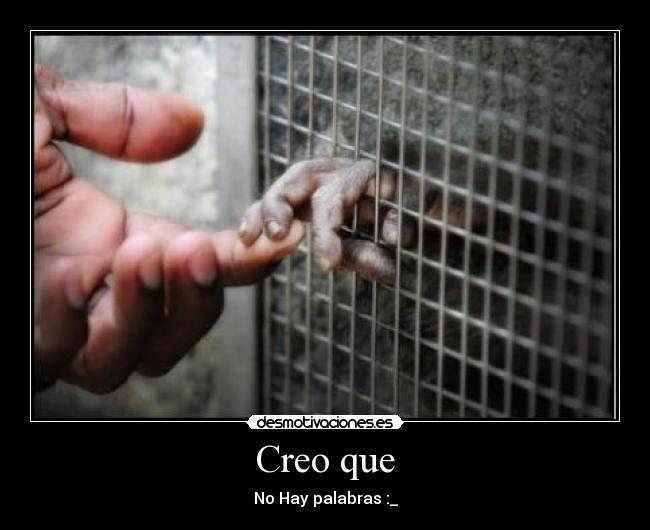 Creo que - 