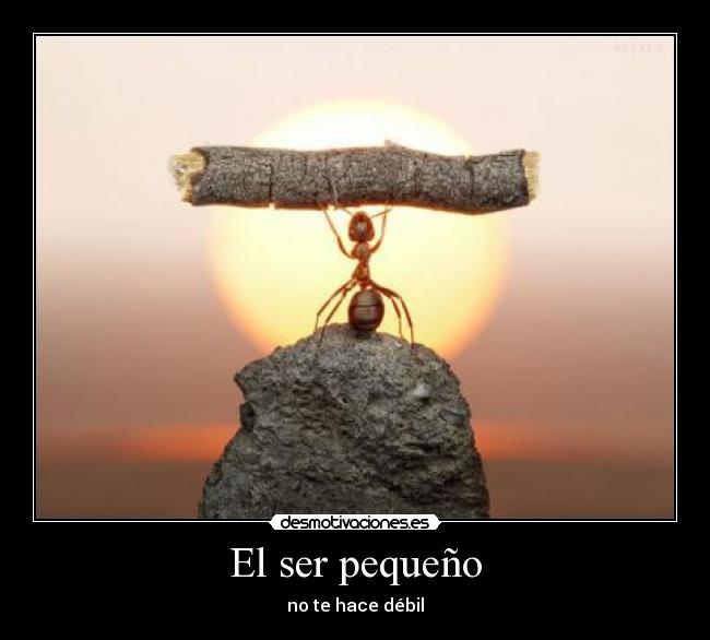 El ser pequeño - no te hace débil