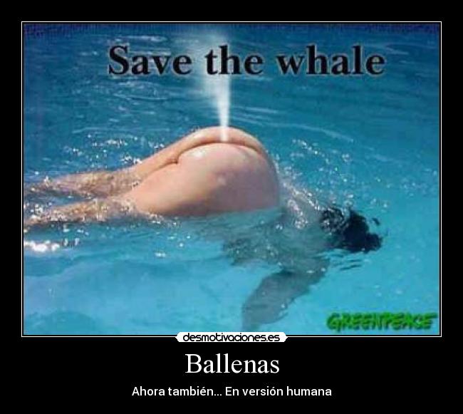 carteles deteriorador desmotivaciones