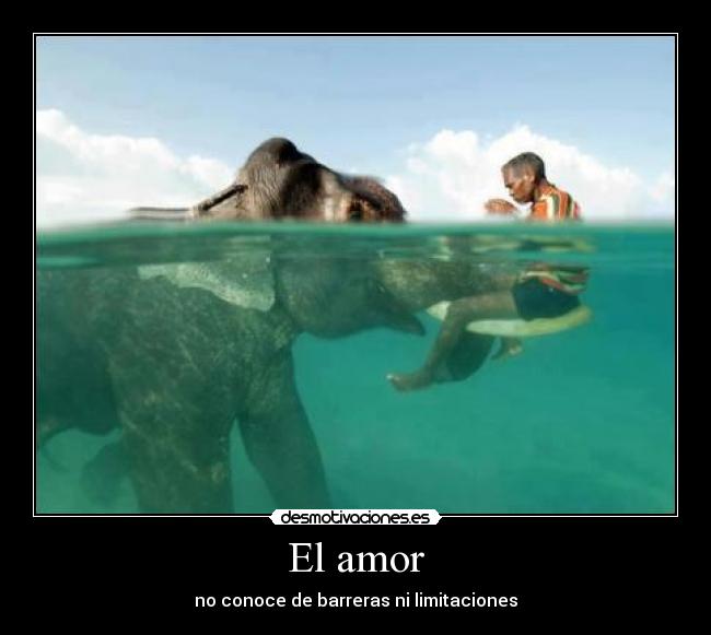 El amor -