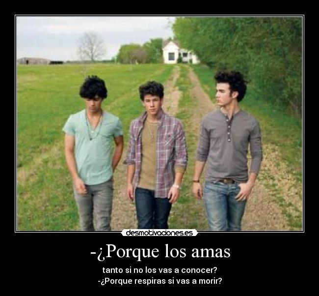 -¿Porque los amas -