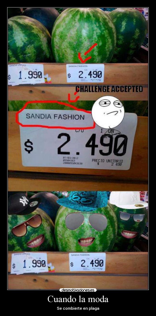 Cuando la moda - Se combierte en plaga