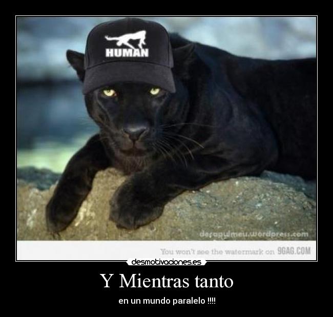 Y Mientras tanto - en un mundo paralelo !!!!