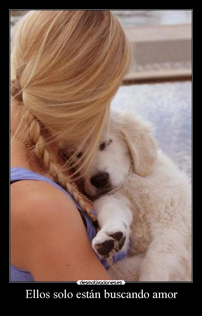 carteles amor love desmotivaciones