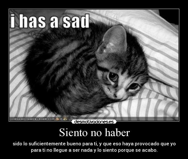 Siento no haber - 