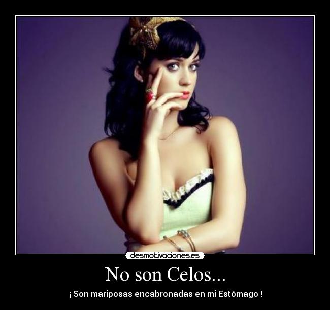 No son Celos... - ¡ Son mariposas encabronadas en mi Estómago !