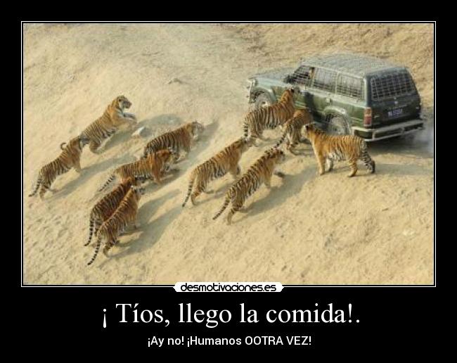 ¡ Tíos, llego la comida!. -