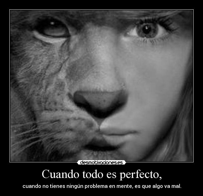 Cuando todo es perfecto, - cuando no tienes ningún problema en mente, es que algo va mal.