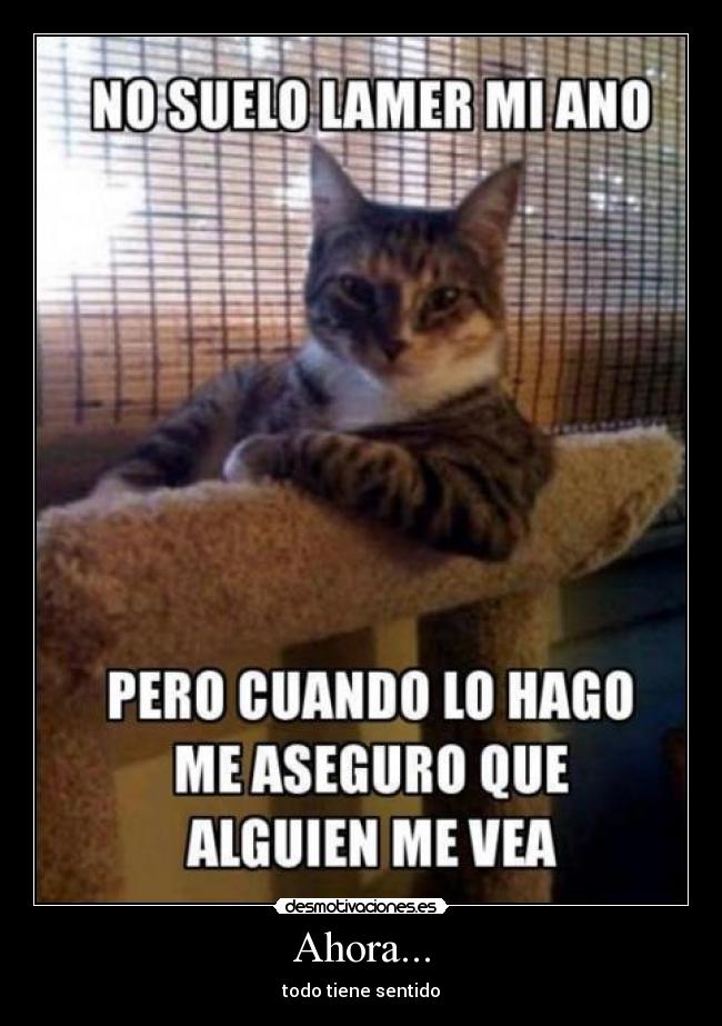 Ahora... - todo tiene sentido