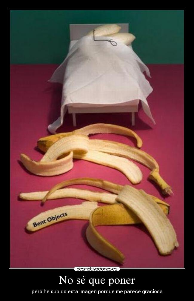 No sé que poner - pero he subido esta imagen porque me parece graciosa