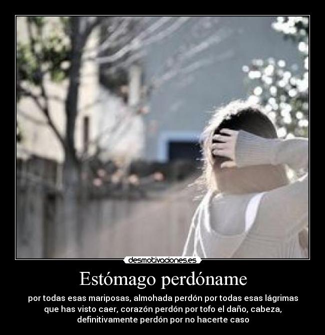 Estómago perdóname - por todas esas mariposas, almohada perdón por todas esas lágrimas
que has visto caer, corazón perdón por tofo el daño, cabeza,
definitivamente perdón por no hacerte caso