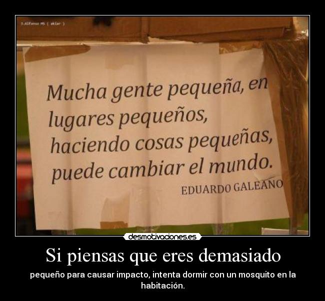 Si piensas que eres demasiado - pequeño para causar impacto, intenta dormir con un mosquito en la habitación.