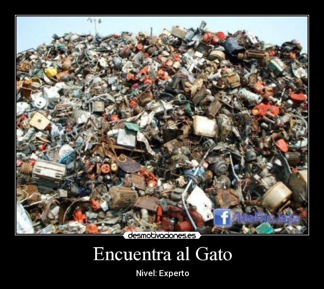 Encuentra al Gato - Nivel: Experto