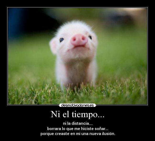 Ni el tiempo... - ni la distancia....
borrara lo que me hiciste soñar...
porque creaste en mi una nueva ilusión.