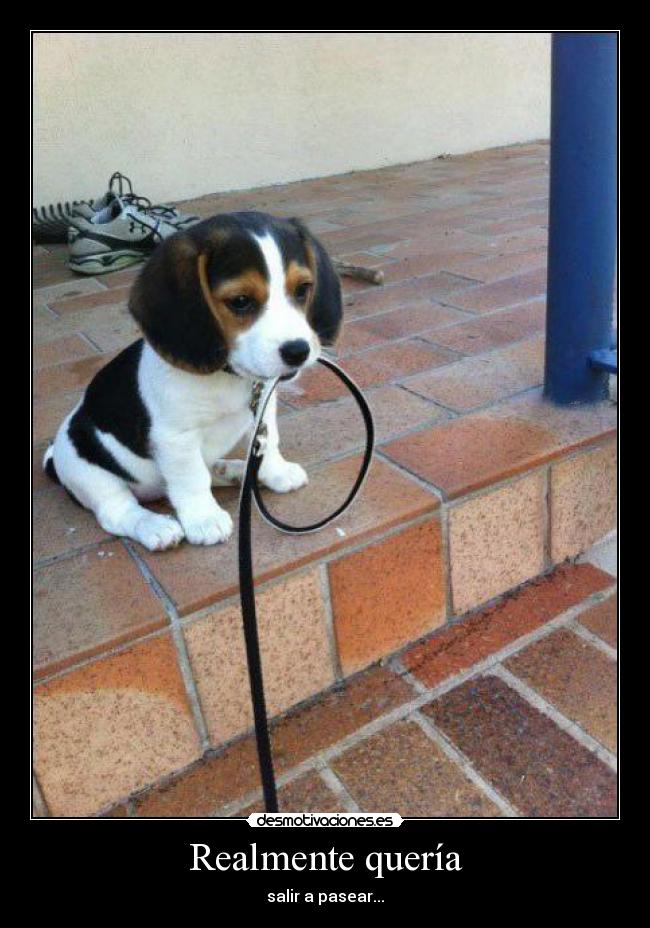 Realmente quería - salir a pasear...