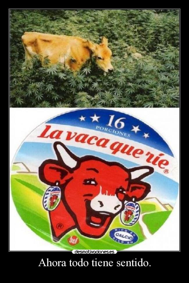 Ahora todo tiene sentido. - 