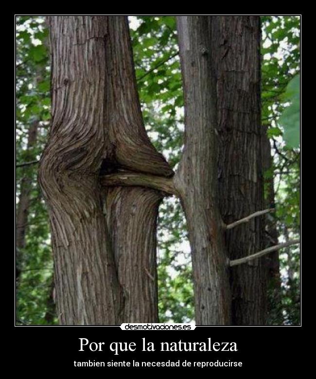 Por que la naturaleza - tambien siente la necesdad de reproducirse