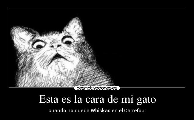 Esta es la cara de mi gato - cuando no queda Whiskas en el Carrefour