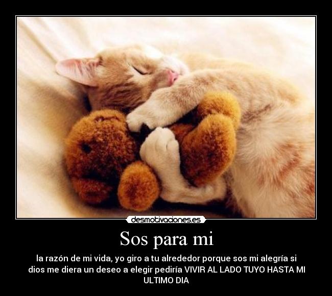 Sos para mi - la razón de mi vida, yo giro a tu alrededor porque sos mi alegría si
dios me diera un deseo a elegir pediría VIVIR AL LADO TUYO HASTA MI
ULTIMO DIA♥
