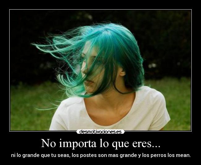 carteles stephy alvarado desmotivaciones
