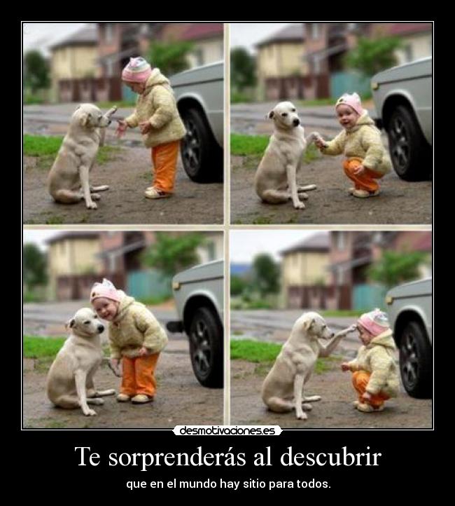 Te sorprenderás al descubrir - 