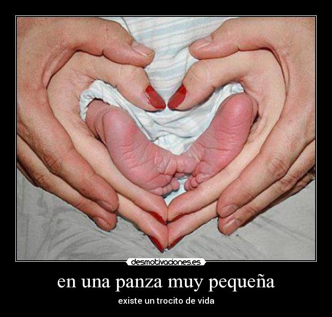 en una panza muy pequeña - existe un trocito de vida