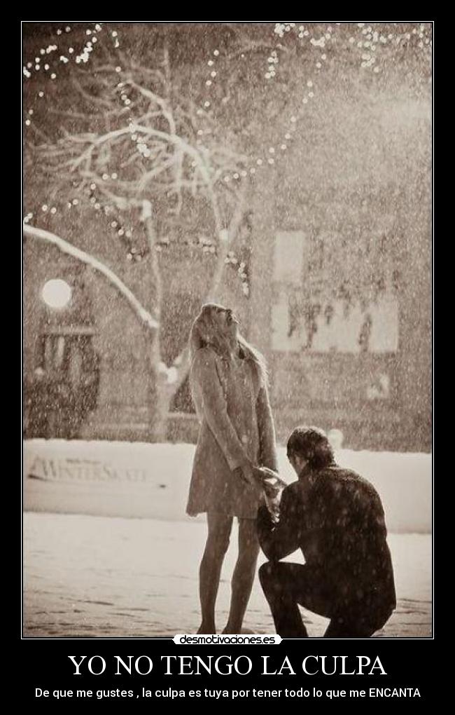 YO NO TENGO LA CULPA - 