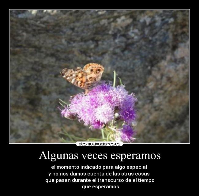 Algunas veces esperamos -