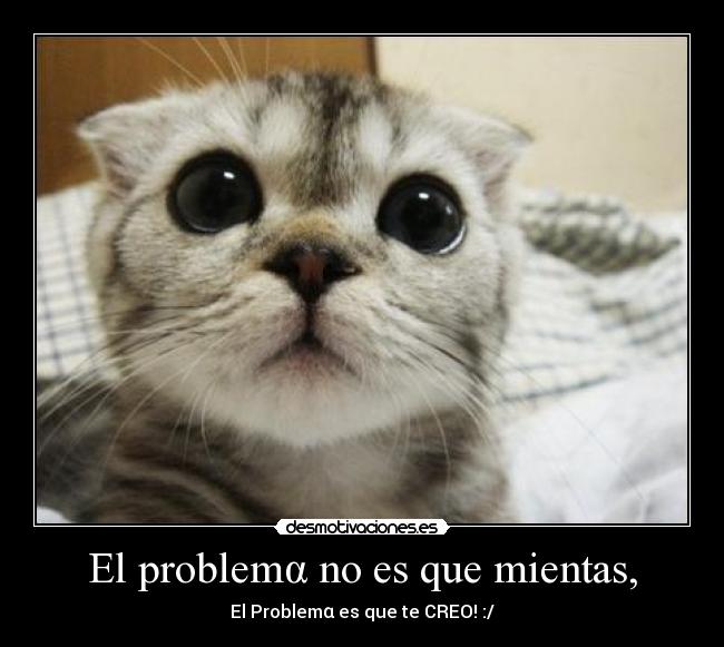 carteles sarita desmotivaciones