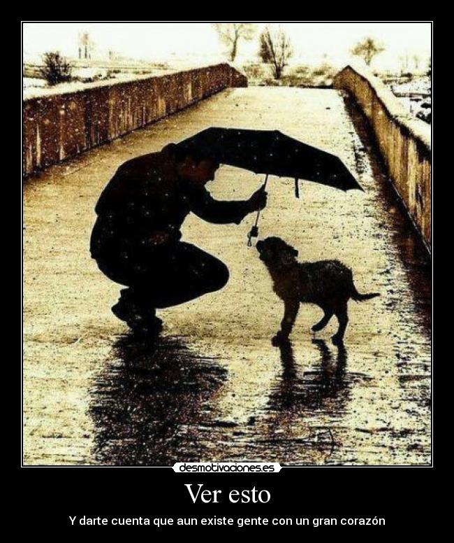Ver esto - Y darte cuenta que aun existe gente con un gran corazón