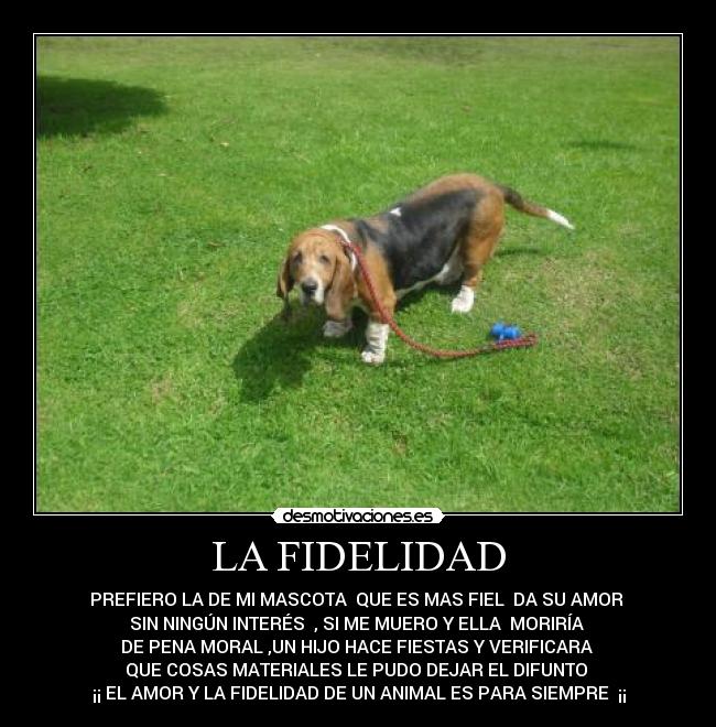 LA FIDELIDAD - PREFIERO LA DE MI MASCOTA QUE ES MAS FIEL DA SU AMOR
SIN NINGÚN INTERÉS , SI ME MUERO Y ELLA MORIRÍA
DE PENA MORAL ,UN HIJO HACE FIESTAS Y VERIFICARA
QUE COSAS MATERIALES LE PUDO DEJAR EL DIFUNTO
¡¡ EL AMOR Y LA FIDELIDAD DE UN ANIMAL ES PARA SIEMPRE ¡¡