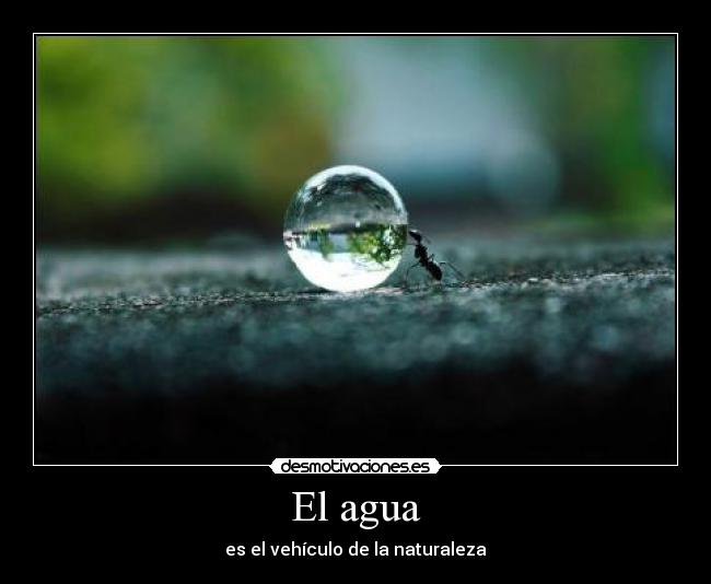 carteles agua naturalez hormiga gota vida desmotivaciones