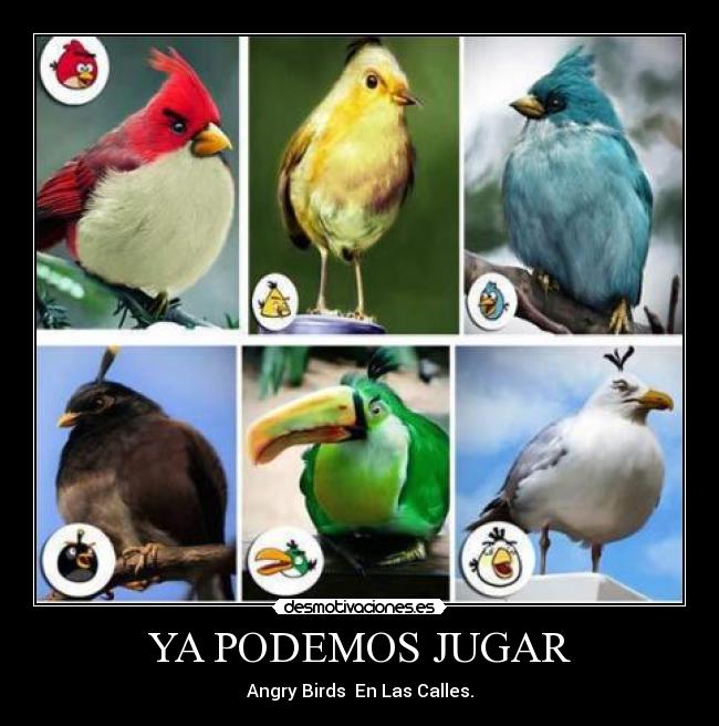 YA PODEMOS JUGAR - Angry Birds  En Las Calles.