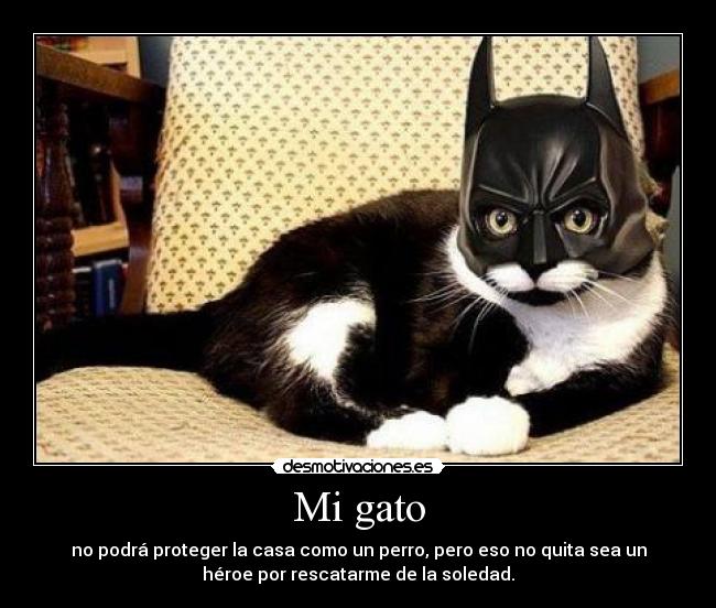 Mi gato -