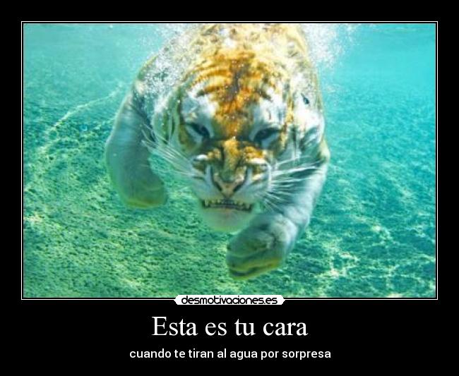 Esta es tu cara - cuando te tiran al agua por sorpresa