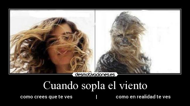 Cuando sopla el viento - como crees que te ves | como en realidad te ves