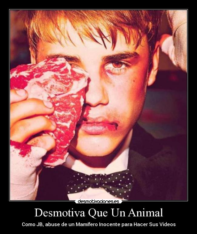 Desmotiva Que Un Animal - 