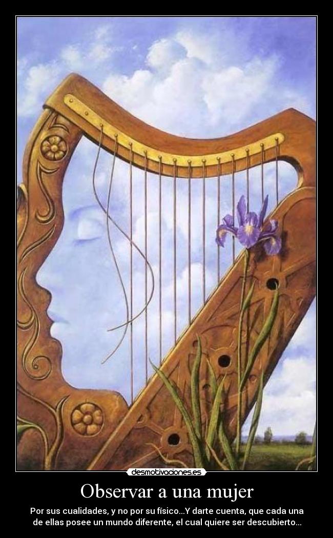 carteles mujer romaisa desmotivaciones