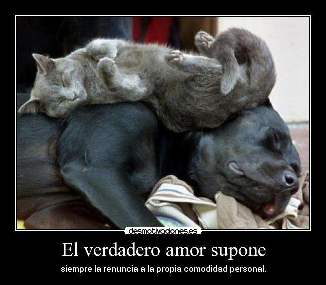 El verdadero amor supone - siempre la renuncia a la propia comodidad personal.