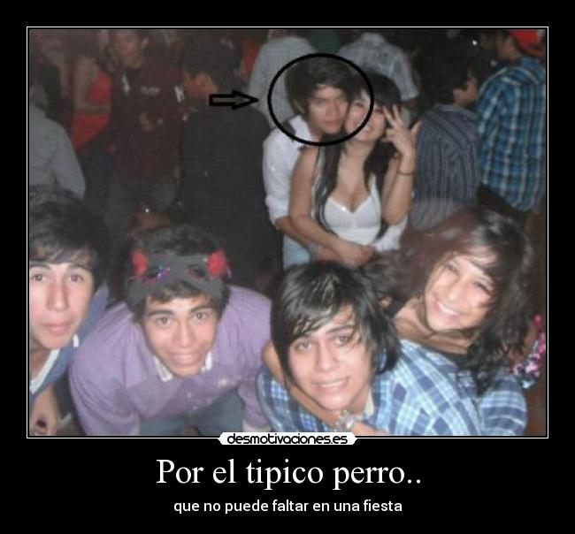 Por el tipico perro.. - que no puede faltar en una fiesta