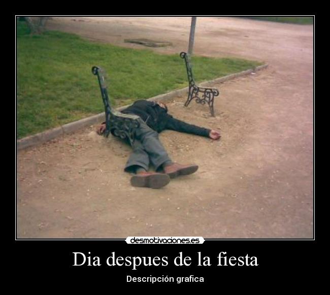 Dia despues de la fiesta - Descripción grafica