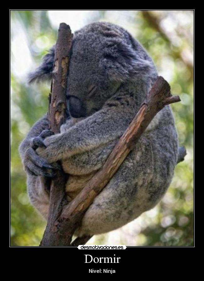 Dormir - Nivel: Ninja