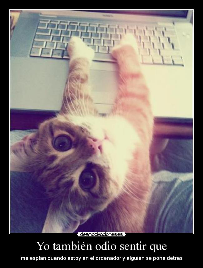 Yo también odio sentir que - me espían cuando estoy en el ordenador y alguien se pone detras