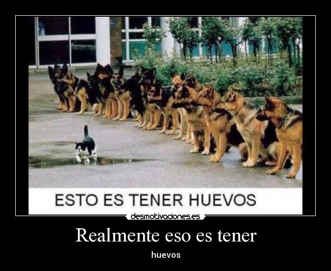 carteles realmente desmotivaciones