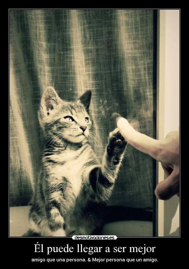 Él puede llegar a ser mejor -